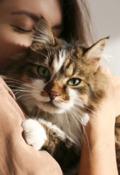 Lady embracing and kissing her Calico Cat in her arms.